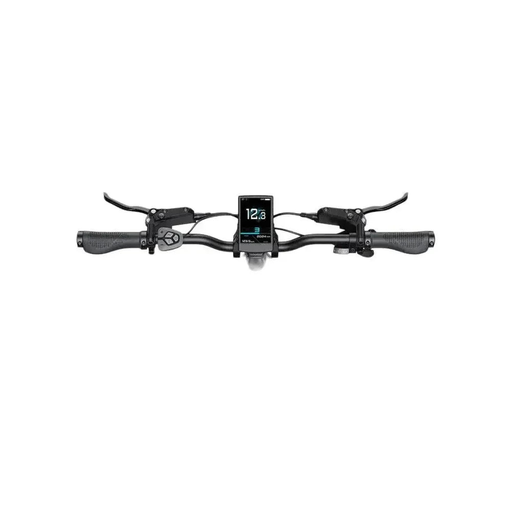 Engwe L20 3.0 – Elektrische Fatbike Lage Instap Champagne | Veelzijdige E-bike