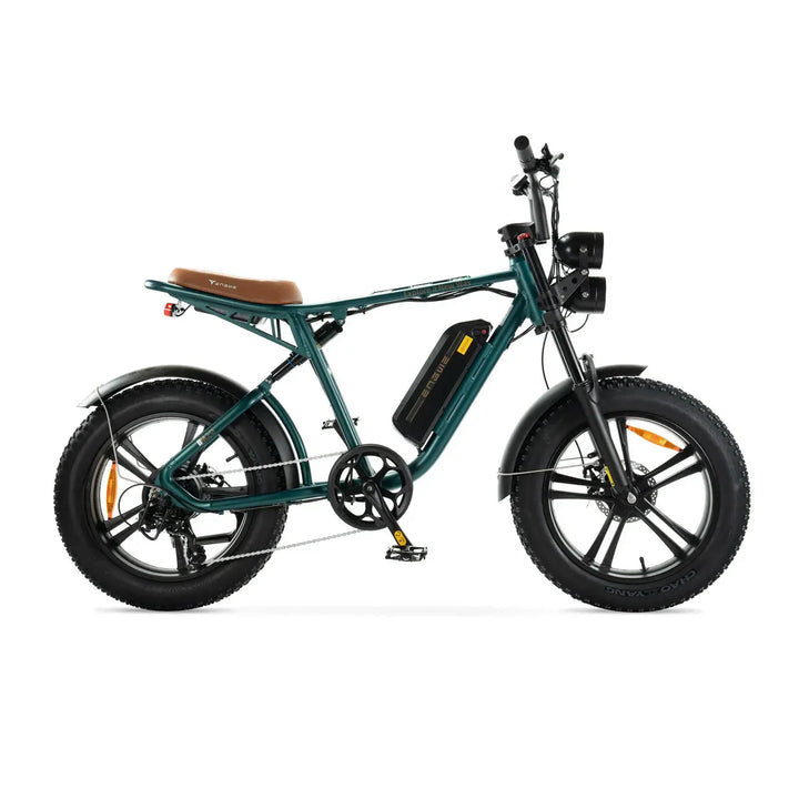 Engwe M20 Groen – Elektrische Fatbike Sportief | Krachtige E-bike Brede Banden