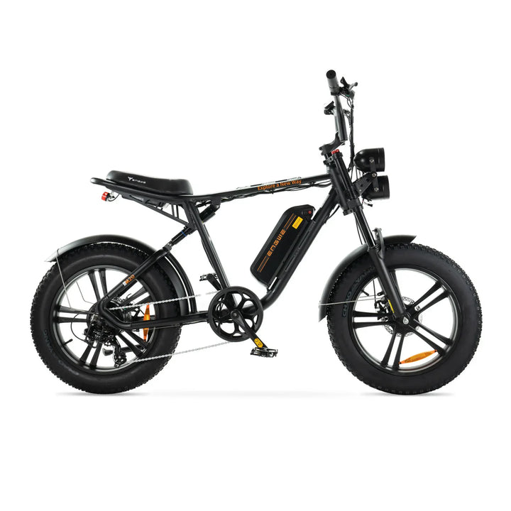 Engwe M20
