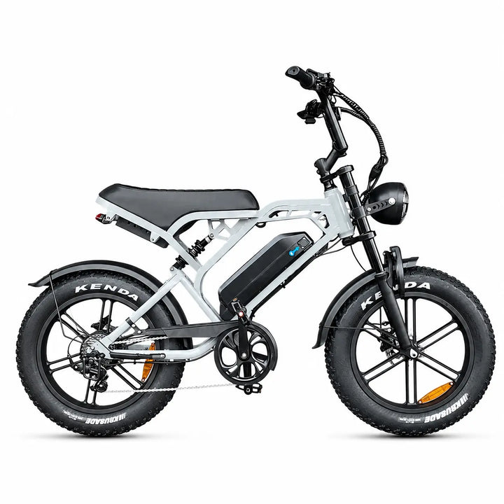 V20 Pro Zilver – Elektrische Fatbike | Krachtige E-bike Dagelijks & Avontuur