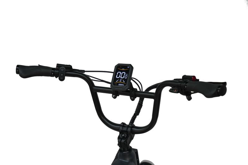 Maxtron Camel – Elektrische Fatbike Grijs | Stabiele E-bike Stad & Recreatief