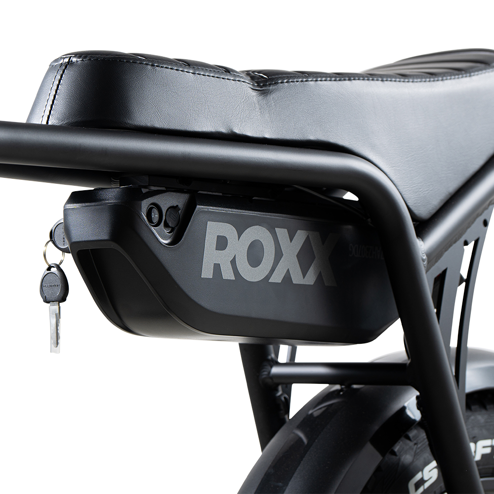 Roxx S2+ – Elektrische Fiets Compact | Comfortabele E-bike Dagelijks Gebruik
