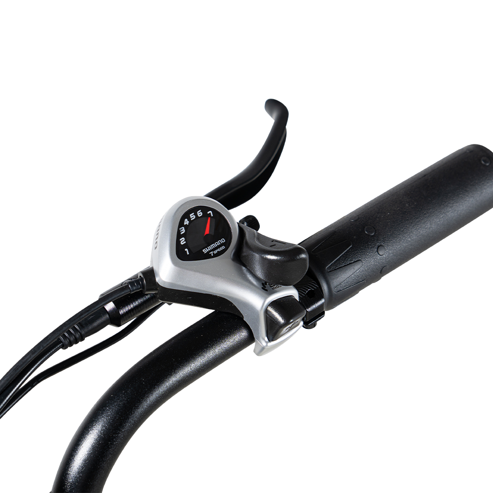 Roxx S2+ elektrische fiets – detail frame