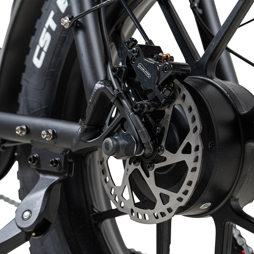 Roxx S2+ – Elektrische Fiets Compact | Comfortabele E-bike Dagelijks Gebruik