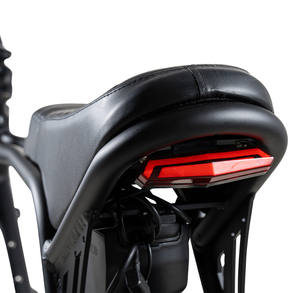 Roxx S2+ – Elektrische Fiets Compact | Comfortabele E-bike Dagelijks Gebruik